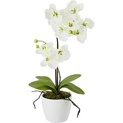 Umelá Rastlina Orchidee